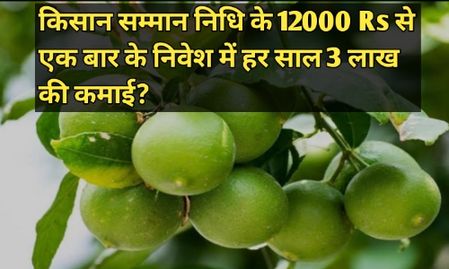 फार्मिंग स्टोरी